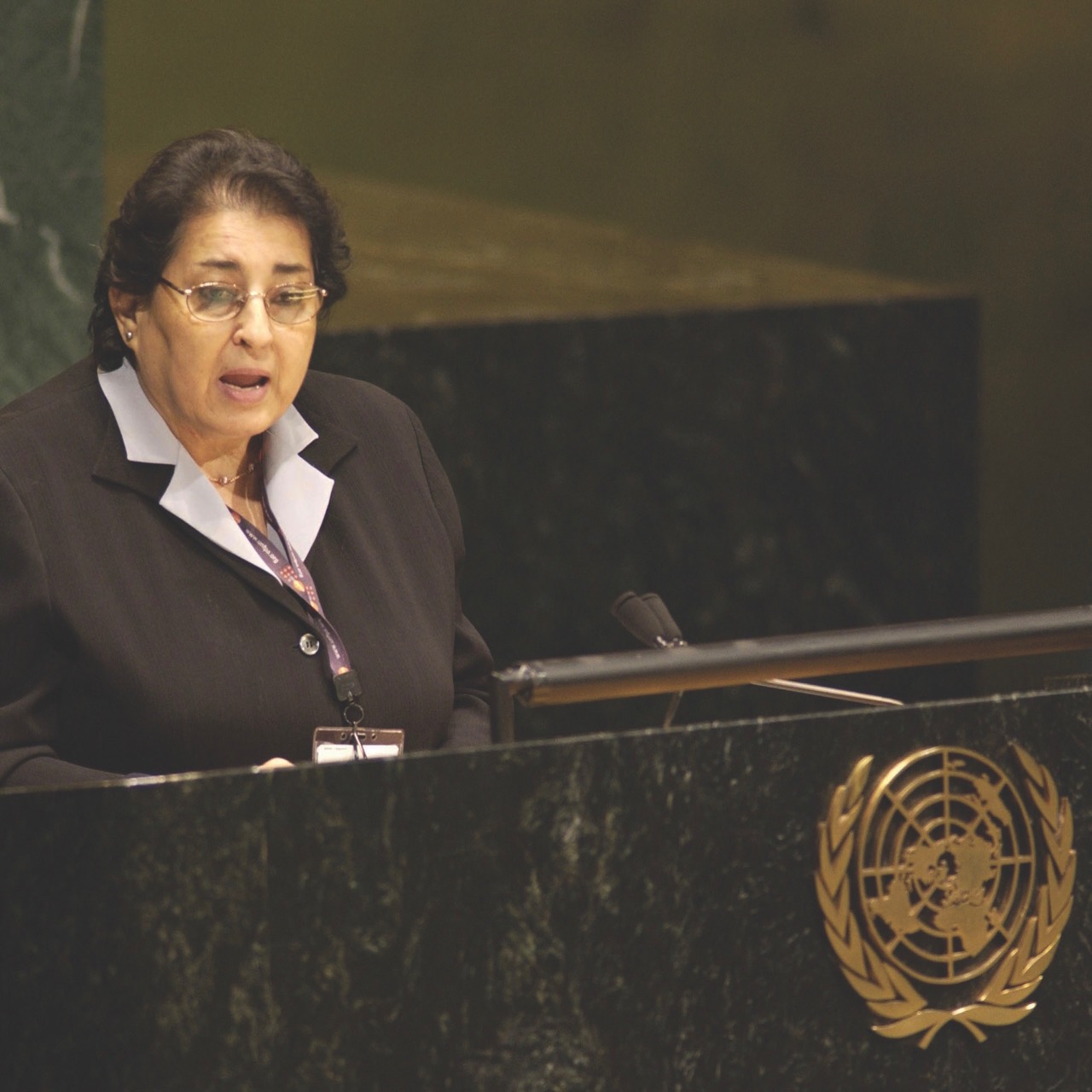 30th GA Plenary Meeting: Integrated and coordinated implementation of and follow-up to the outcomes of the major United Nations conferences and summits in the economic, social and related fields: commemoration of the tenth anniversary of the International Conference on Population and Development.